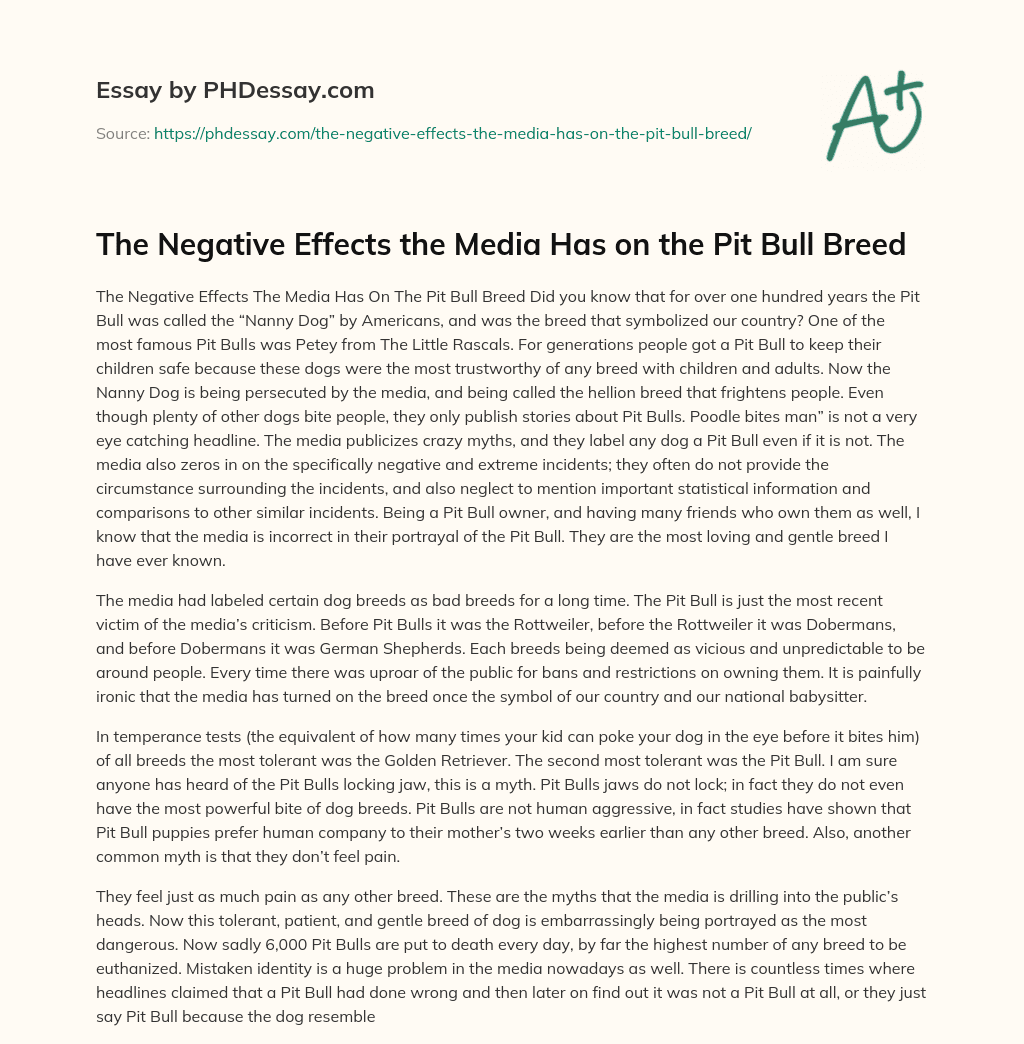 The Negative Effects the Media Has on the Pit Bull Breed essay