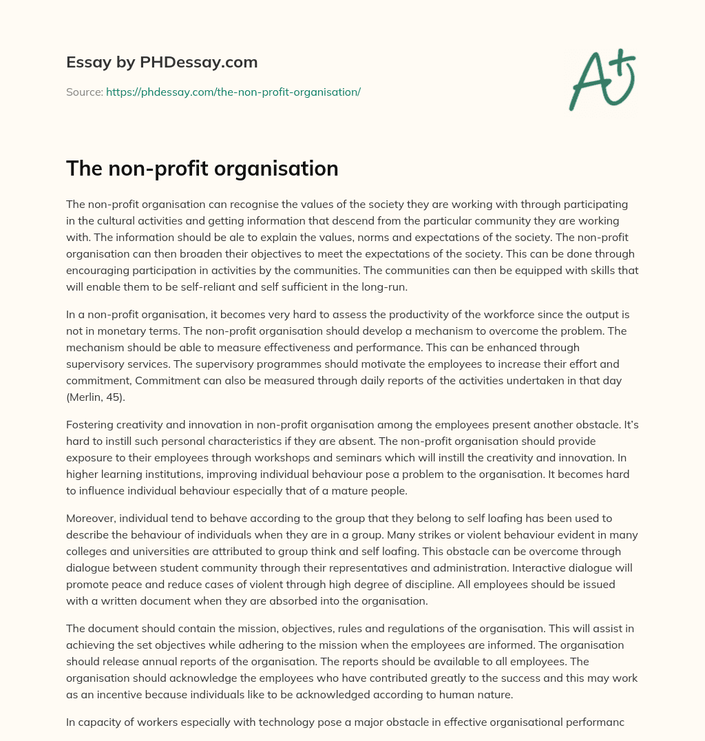 The non-profit organisation essay