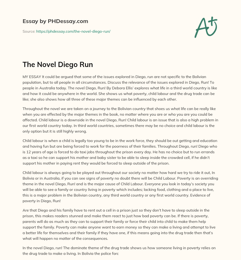 The Novel Diego Run essay