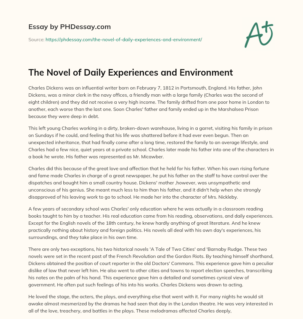 The Novel of Daily Experiences and Environment essay