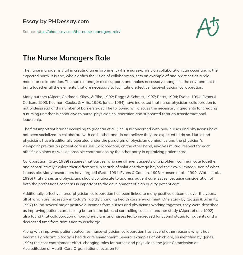 nurse manager role essay