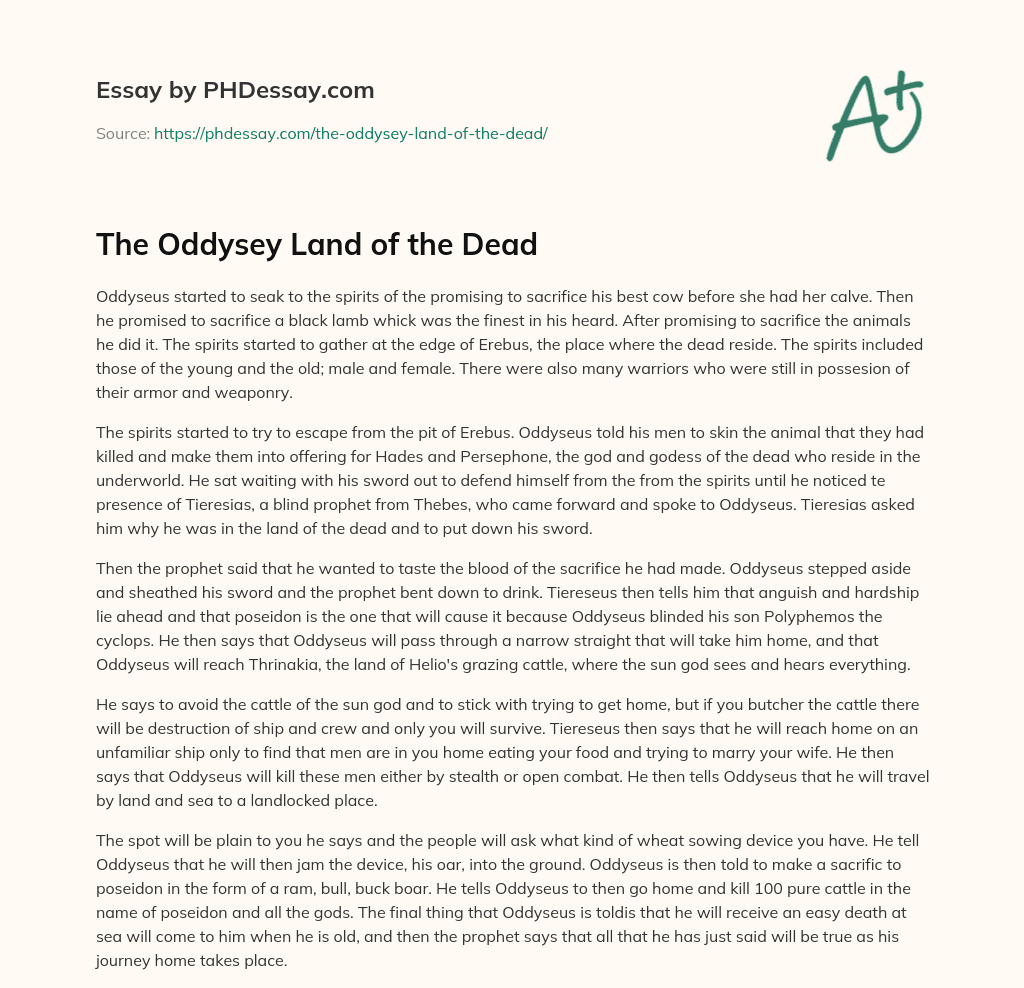 The Oddysey Land of the Dead essay