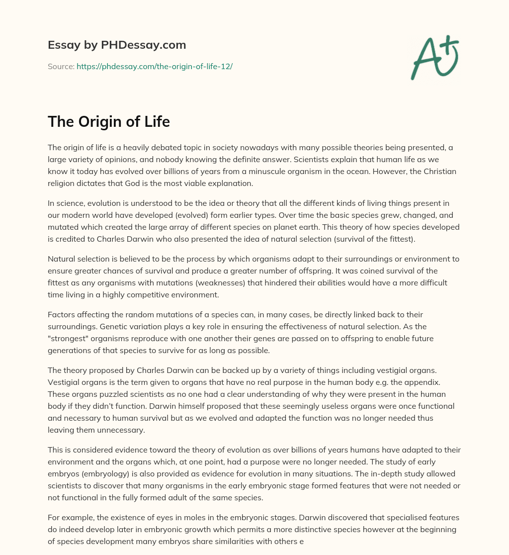 write an essay about origin of life