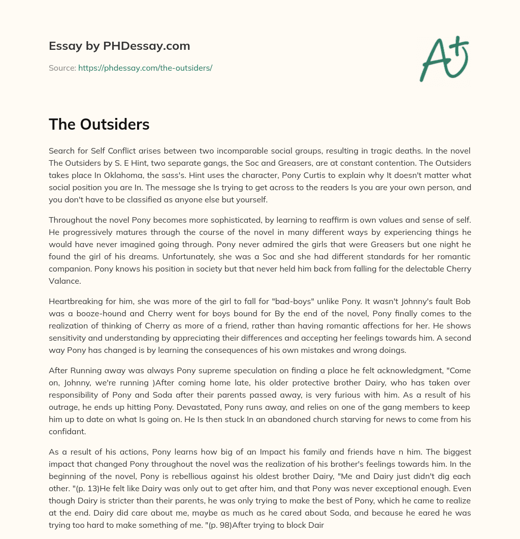 The Outsiders: Search for Self in a World of Social Conflict essay