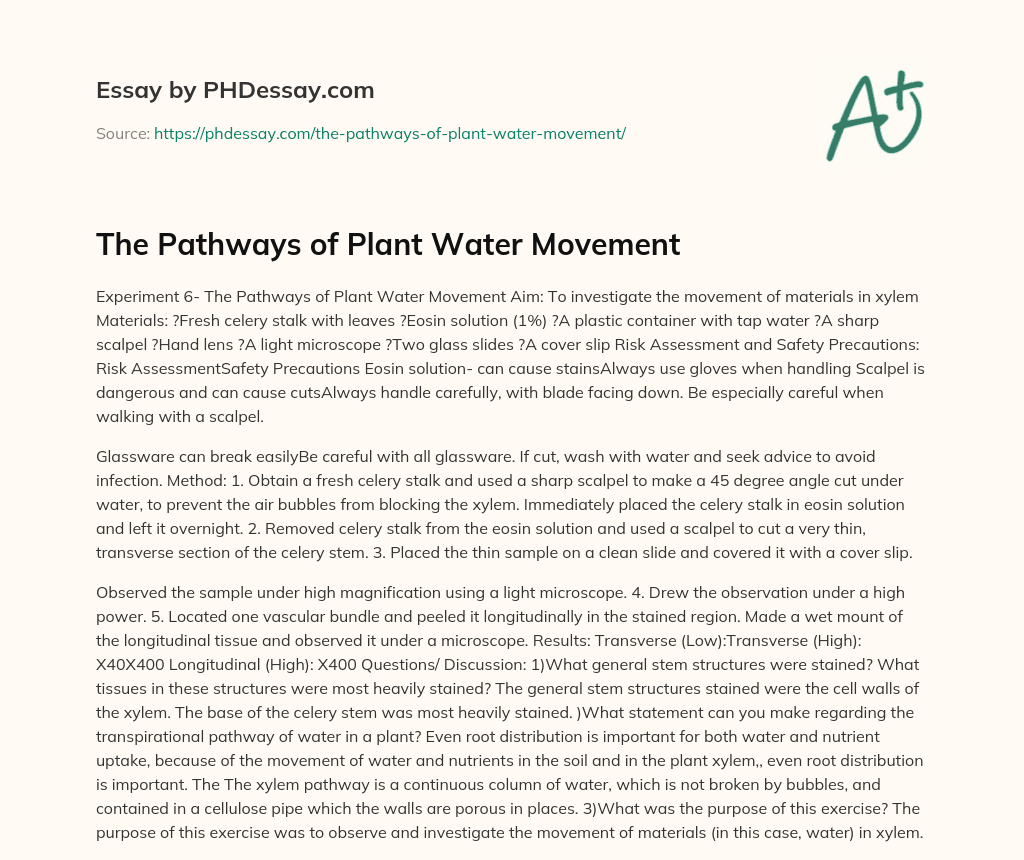 The Pathways of Plant Water Movement essay