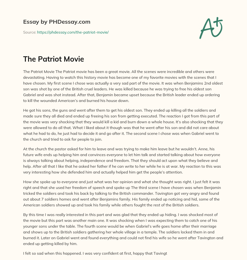 The Patriot Movie essay