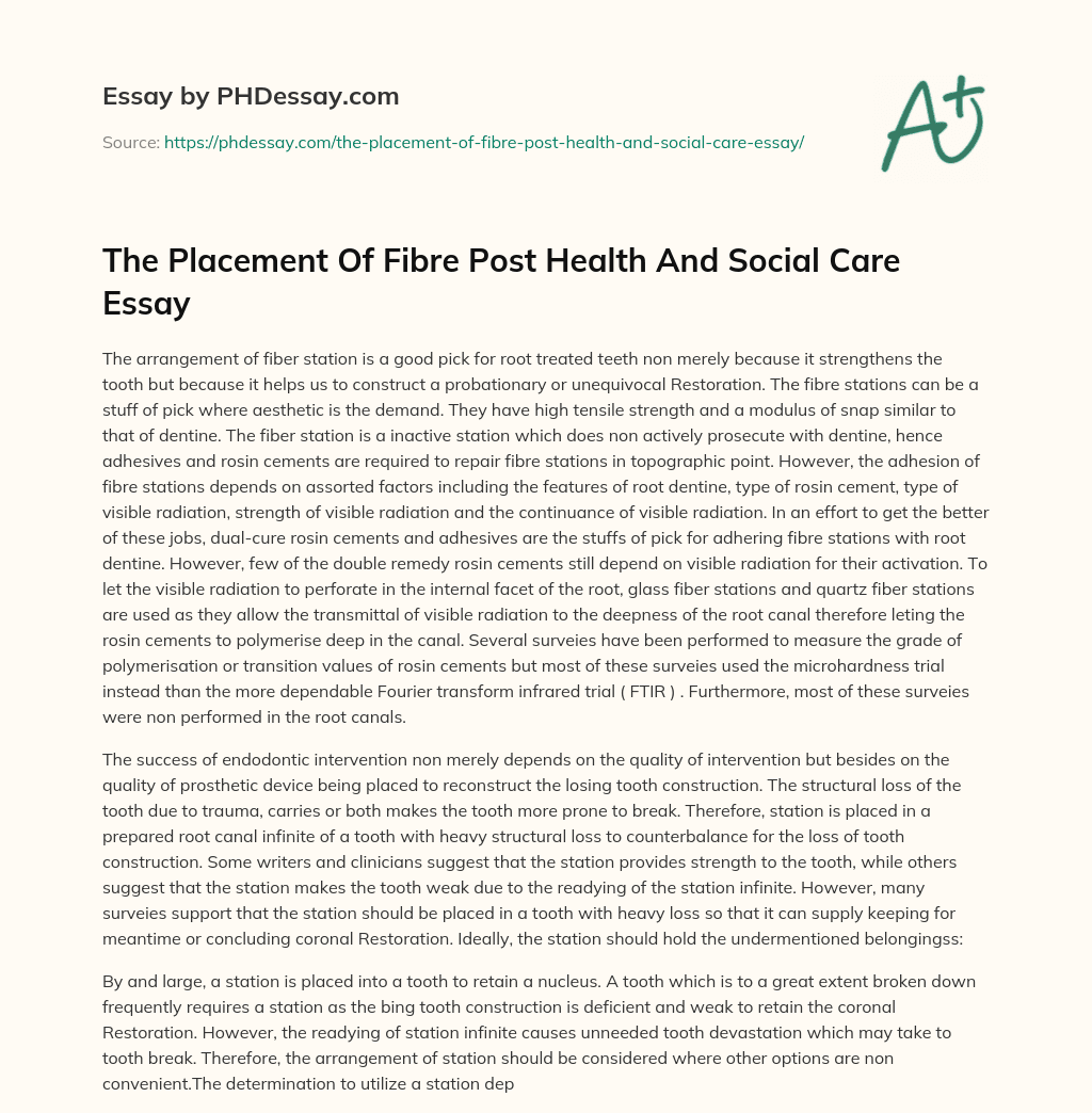 The Placement Of Fibre Post Health And Social Care Essay essay