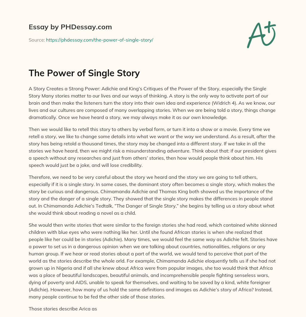 my single story essay