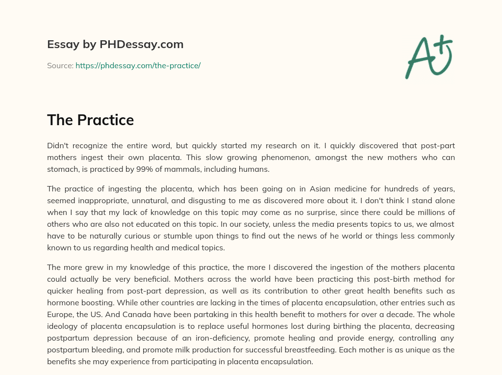 The Practice essay