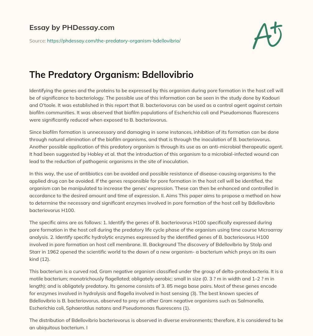 The Predatory Organism: Bdellovibrio essay