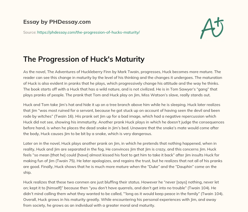 The Progression of Huck’s Maturity essay