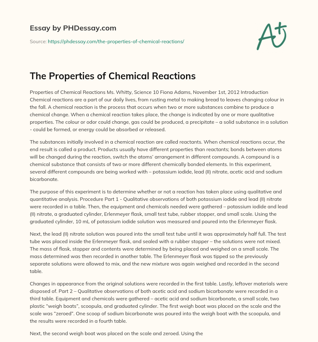 chemical reactions essay example
