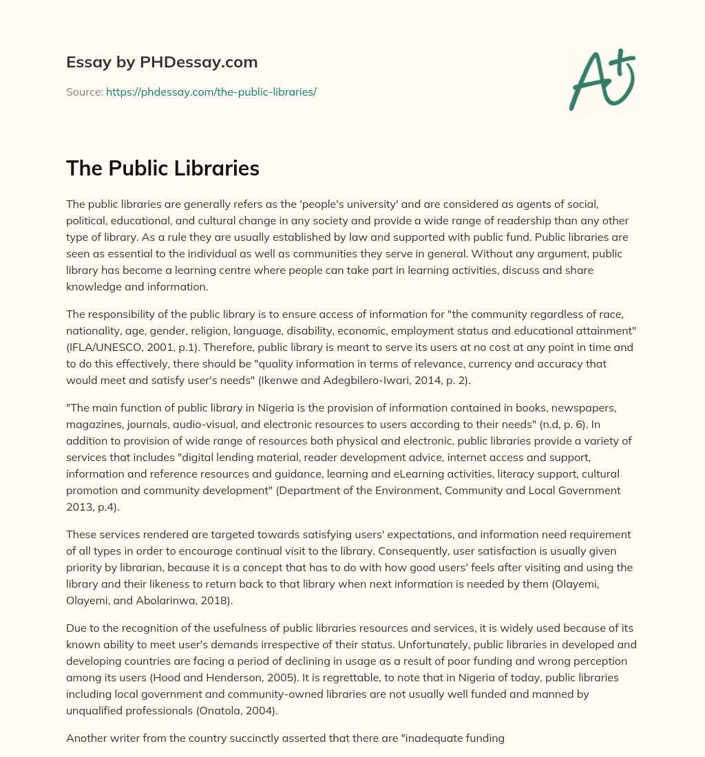 The Public Libraries essay