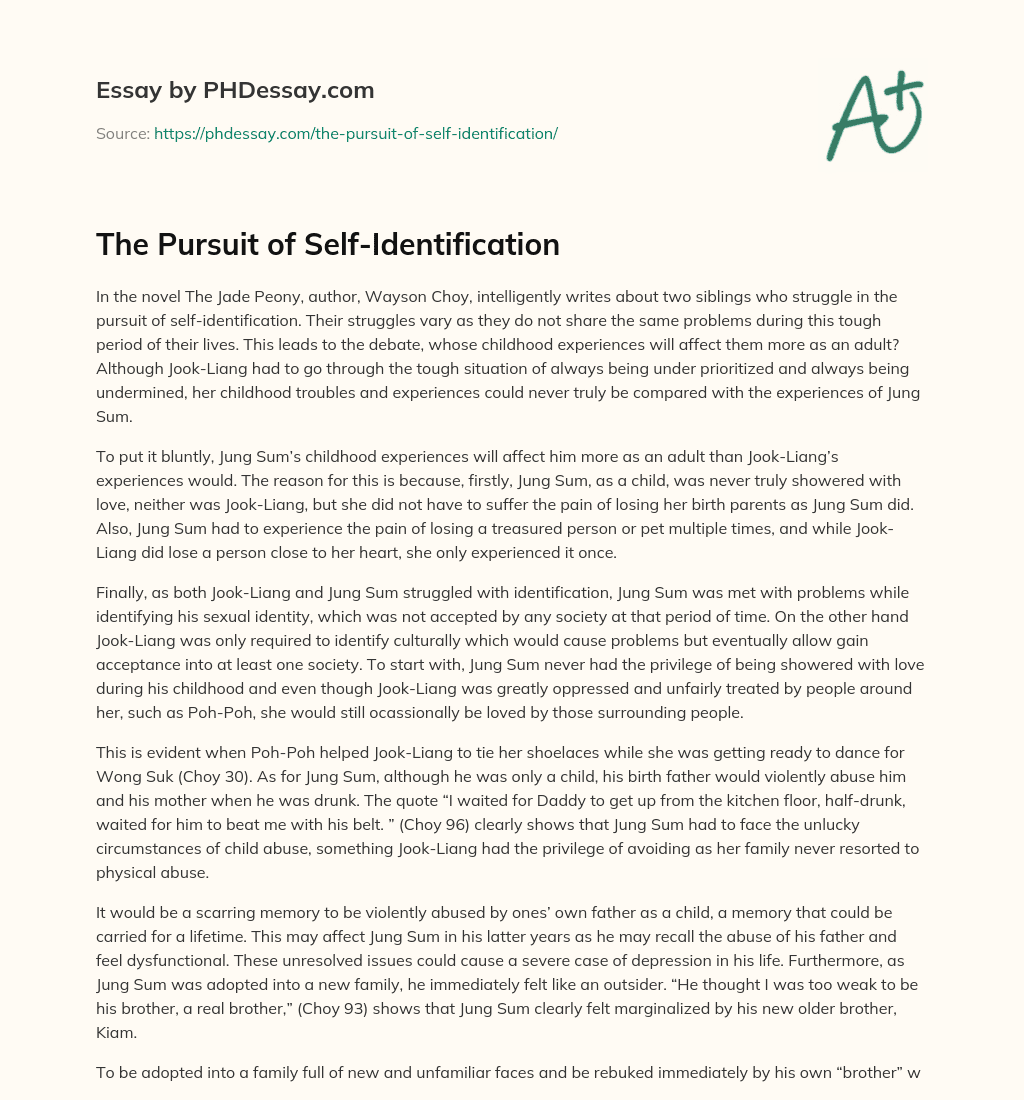 The Pursuit of Self-Identification essay