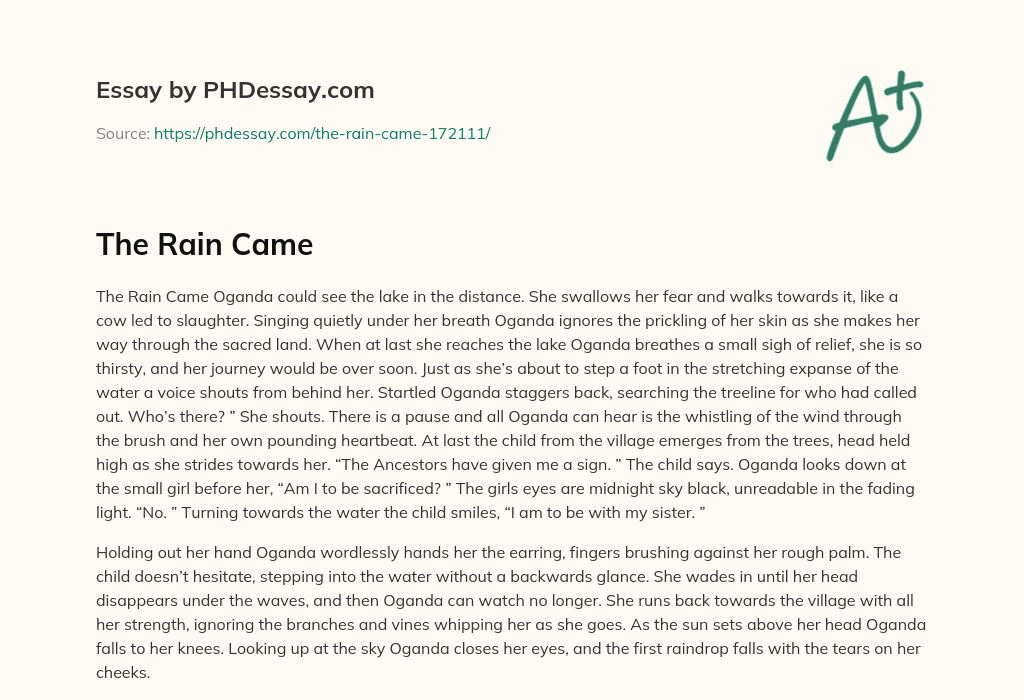 The Rain Came essay