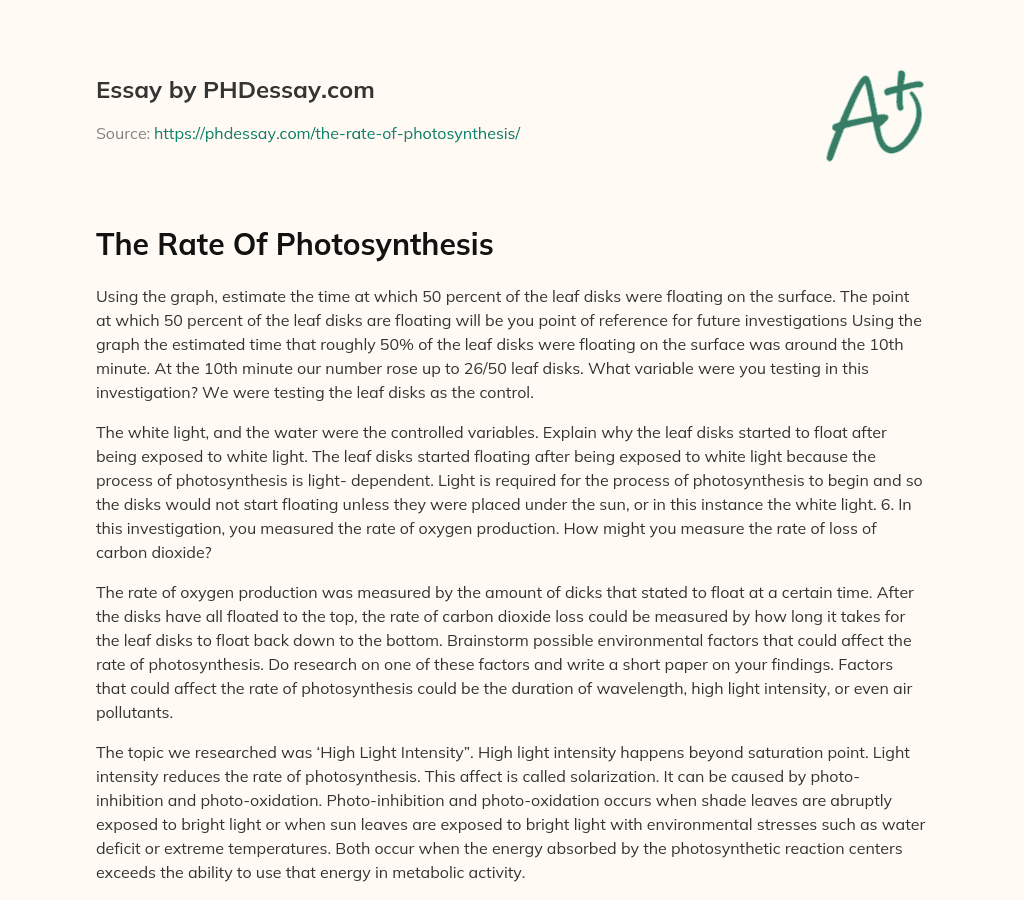 The Rate Of Photosynthesis essay
