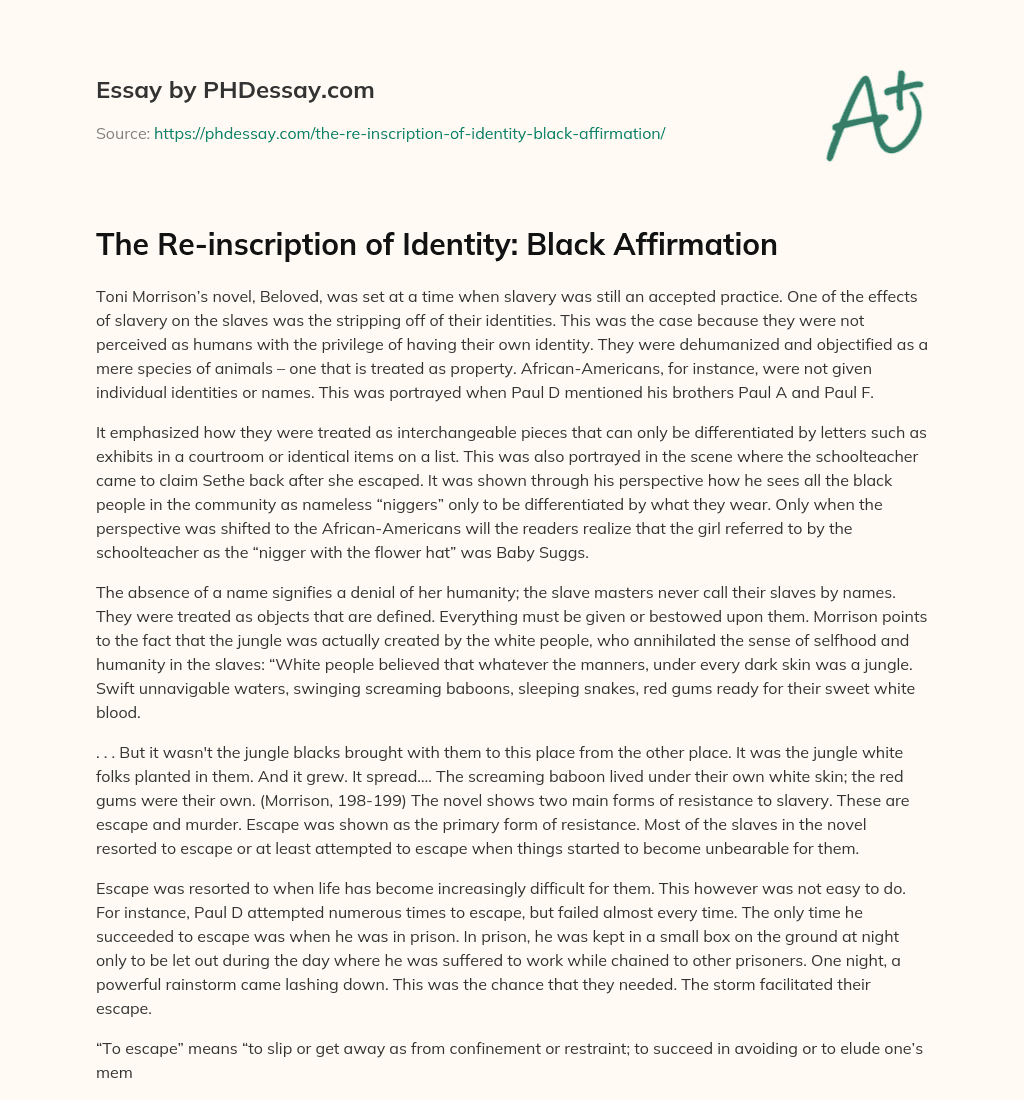 The Re-inscription of Identity: Black Affirmation essay