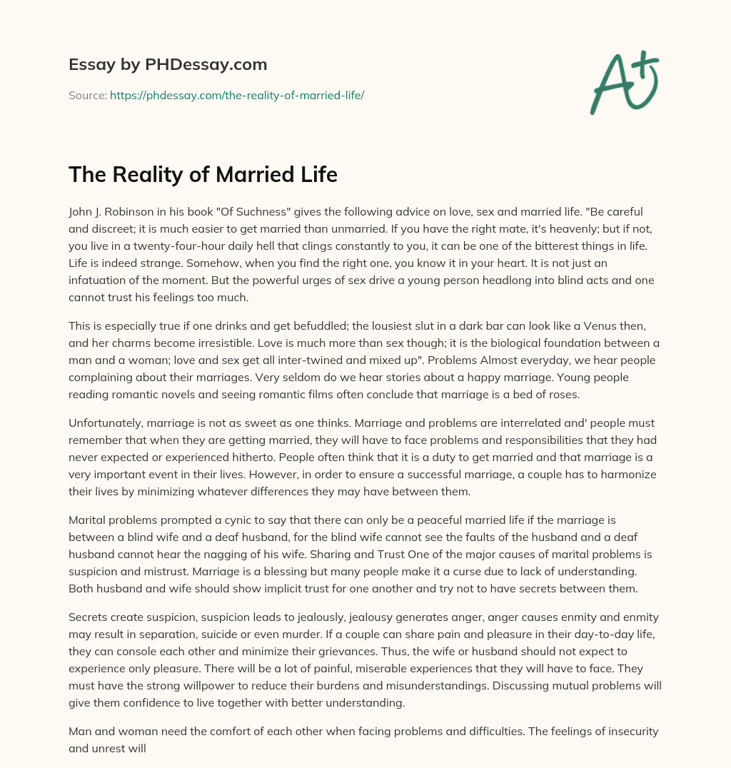 The Reality of Married Life essay