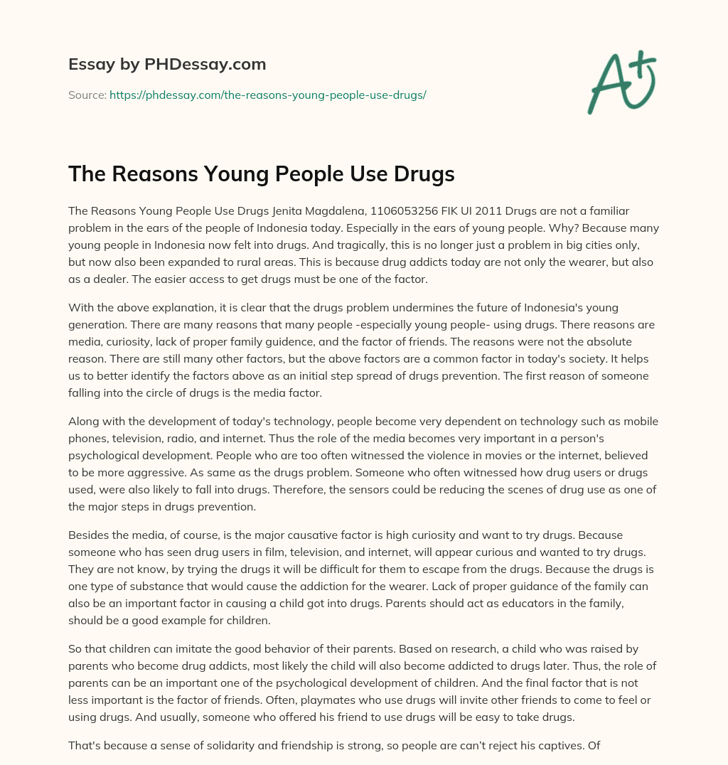 The Reasons Young People Use Drugs essay