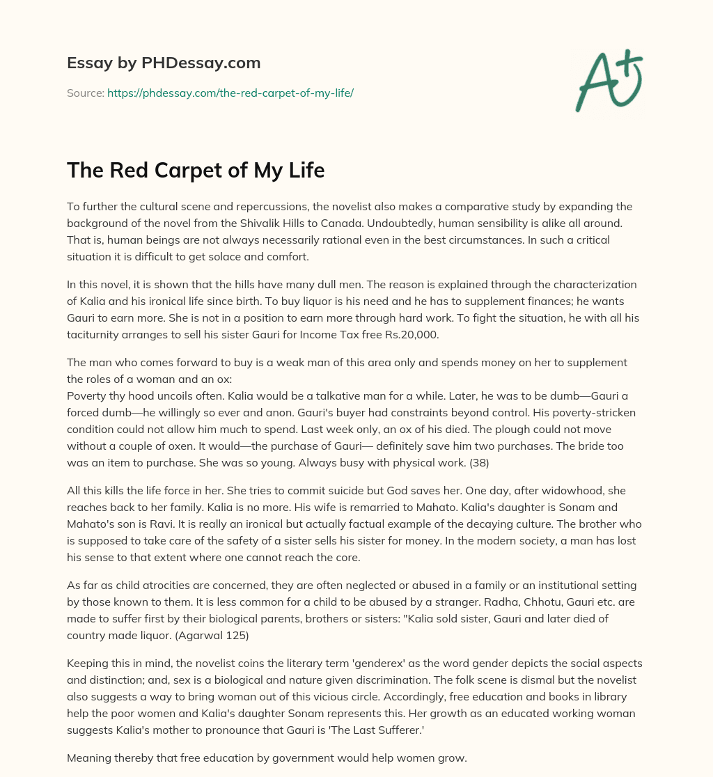 The Red Carpet of My Life essay