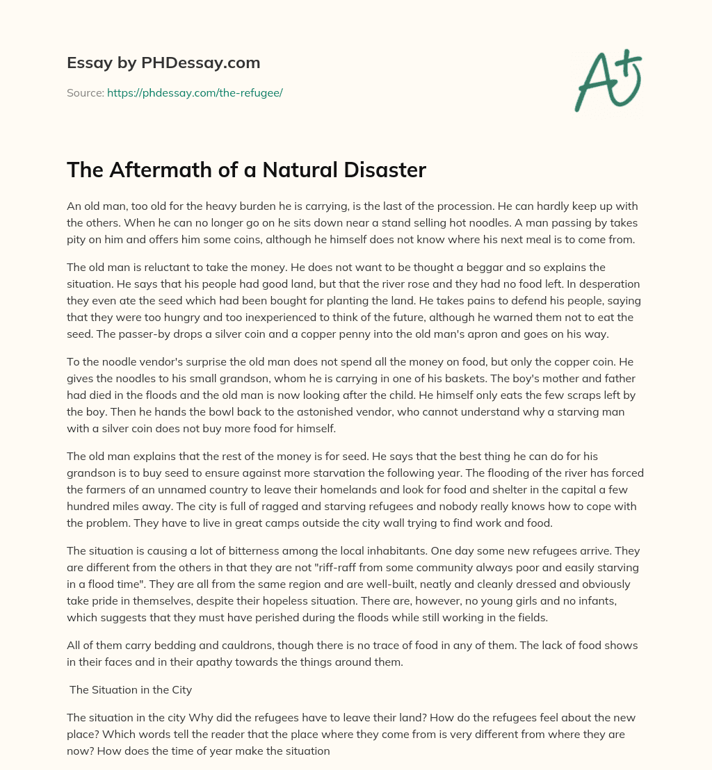 The Aftermath of a Natural Disaster essay
