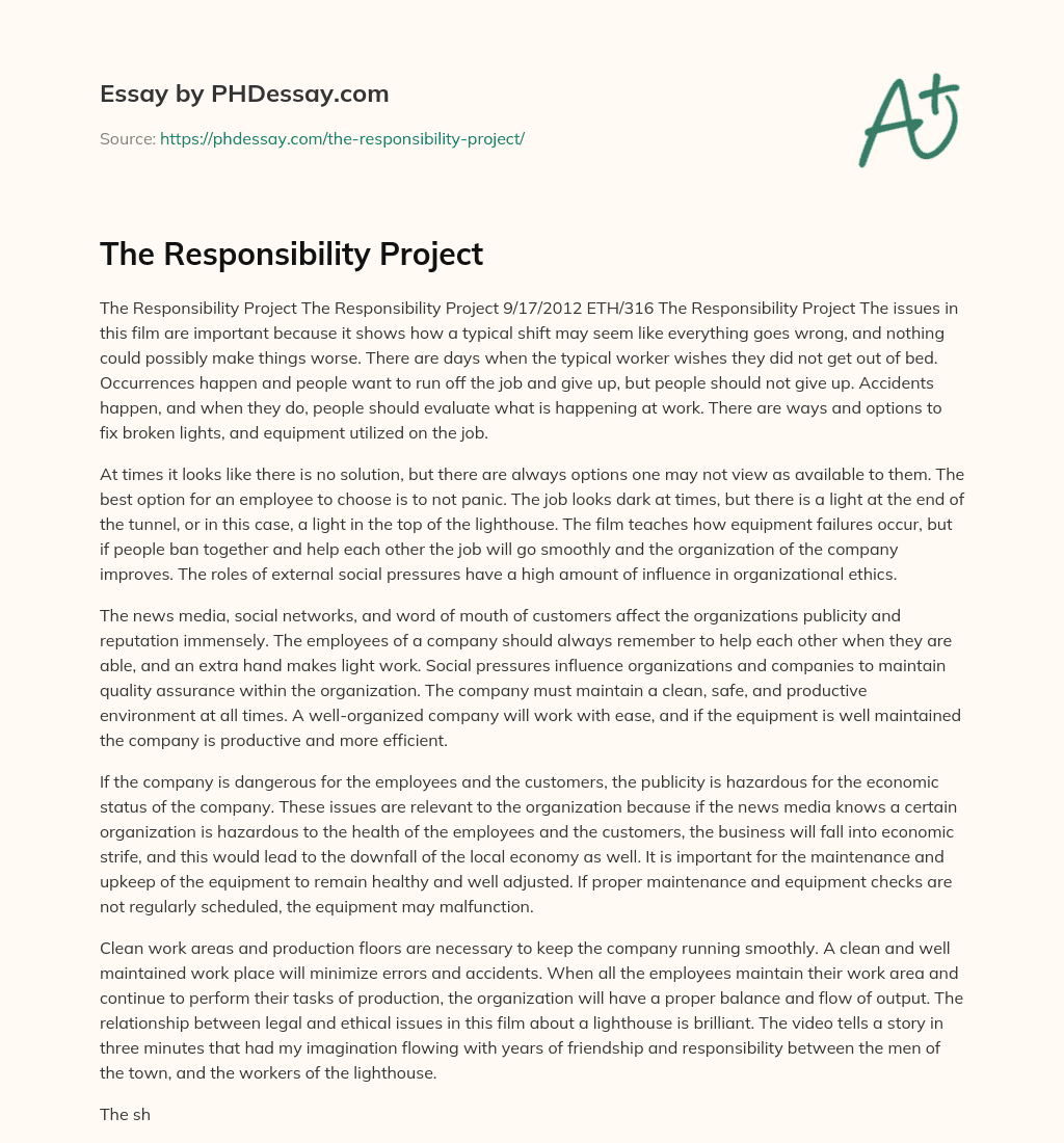 The Responsibility Project essay