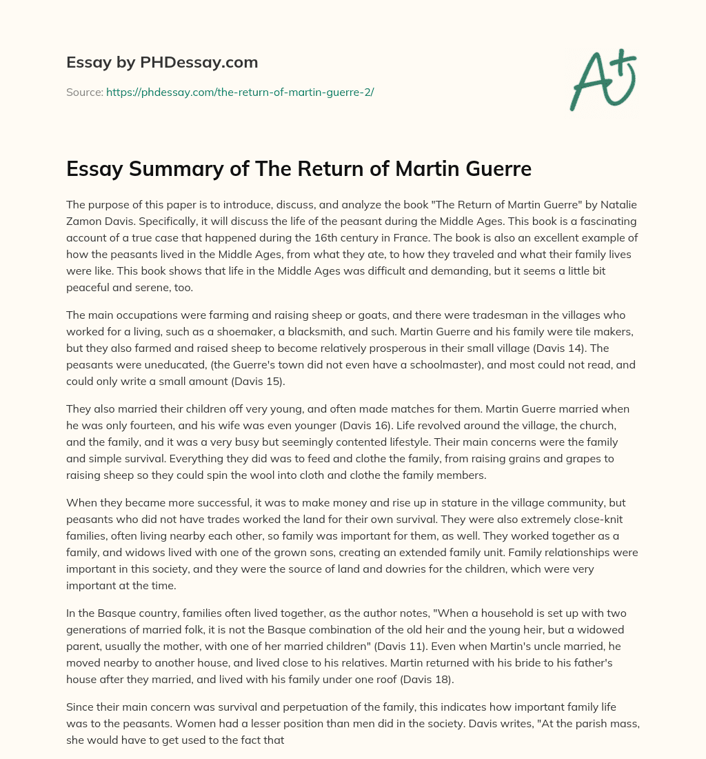 Essay Summary of The Return of Martin Guerre essay