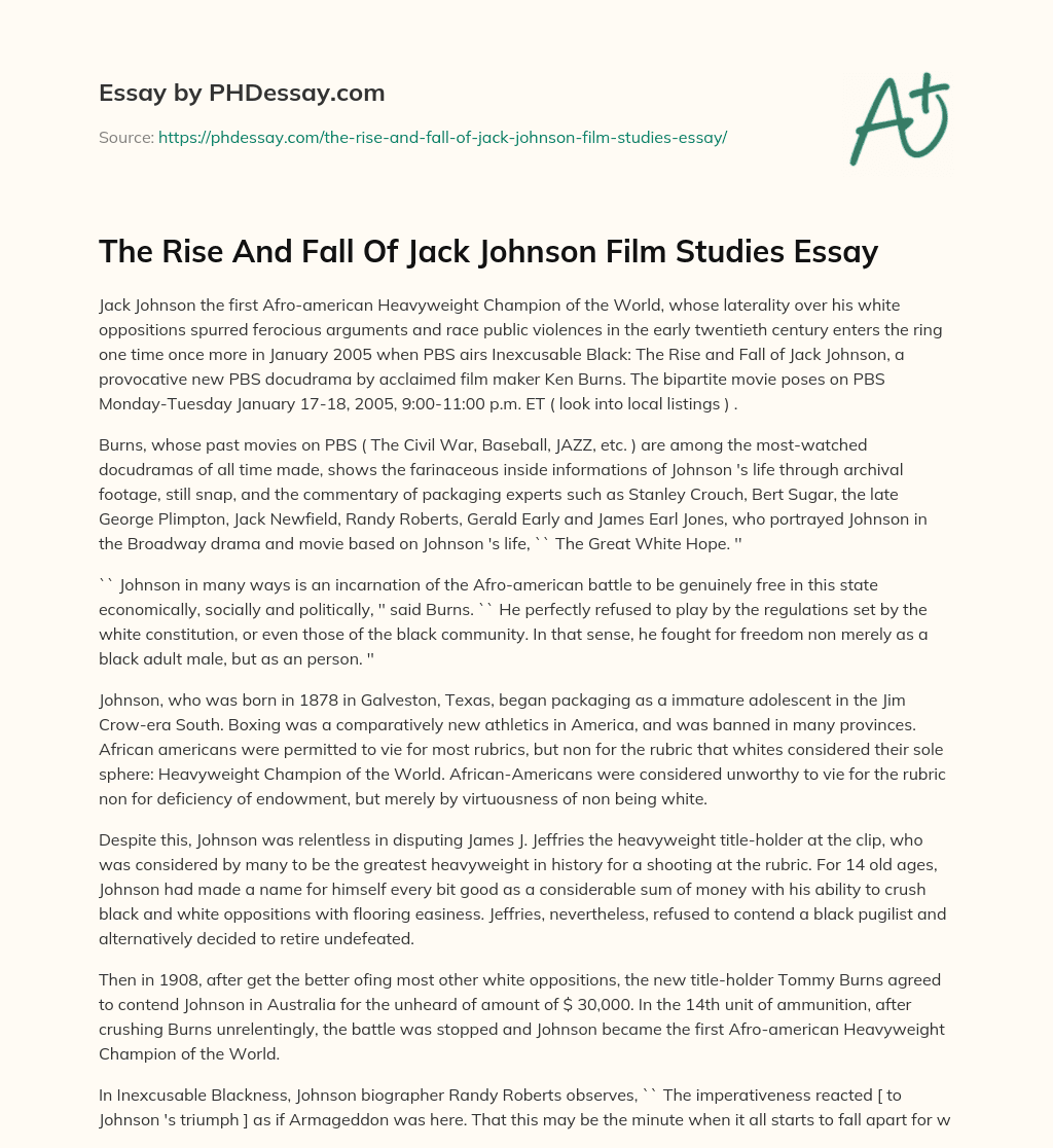 The Rise And Fall Of Jack Johnson Film Studies Essay essay