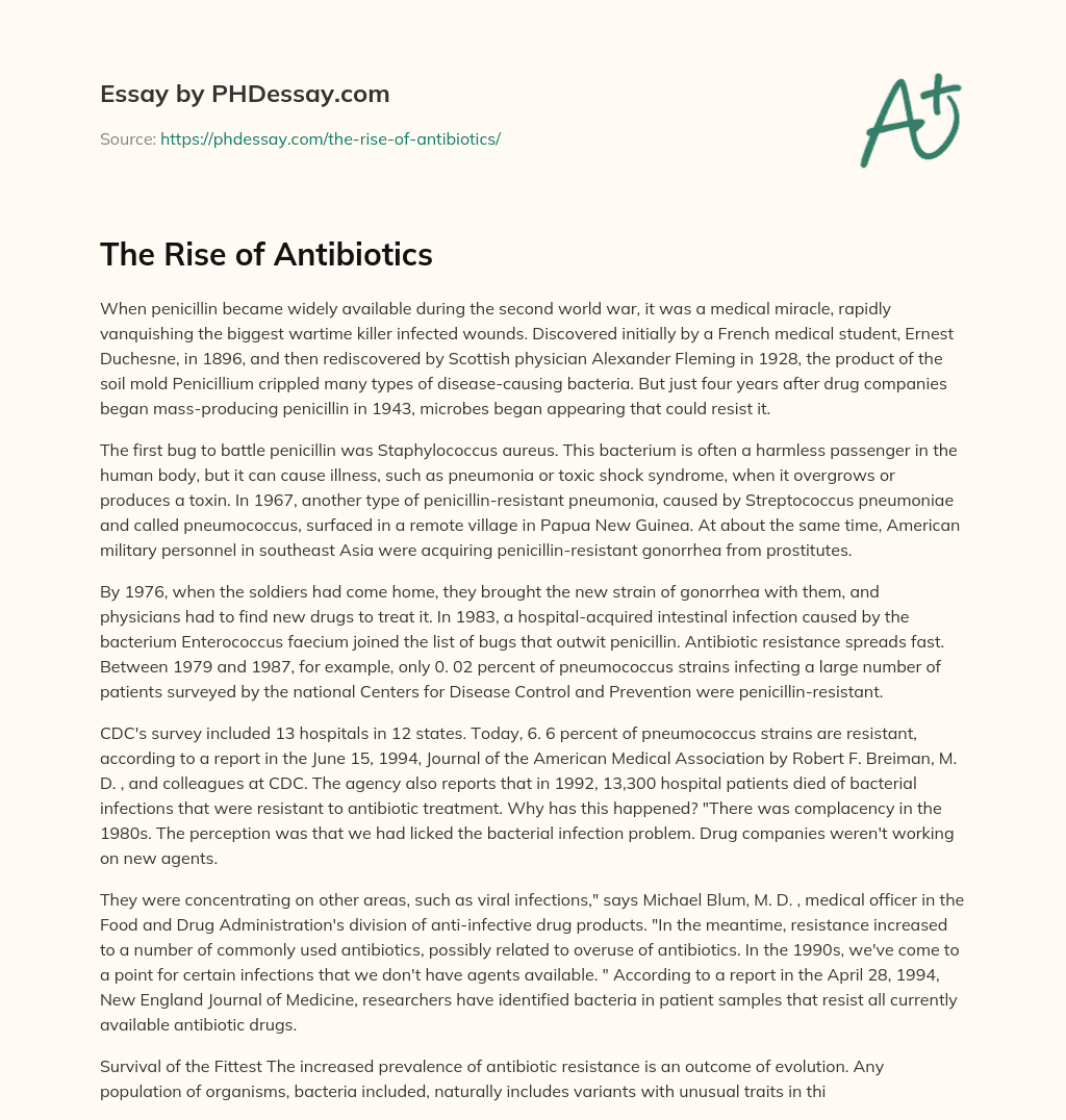 The Rise of Antibiotics essay