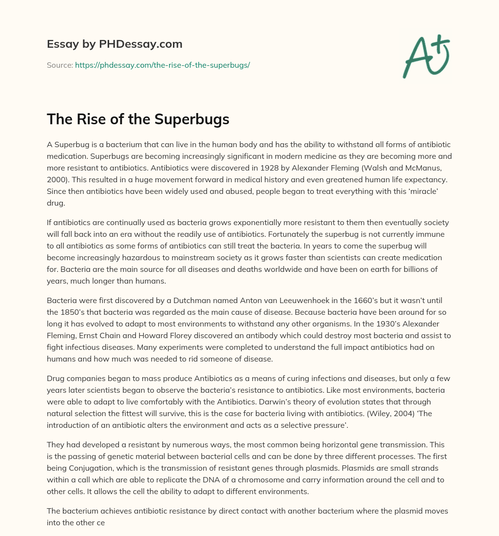 The Rise of the Superbugs essay