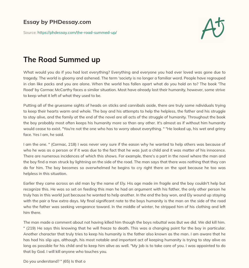 The Road Summed up essay