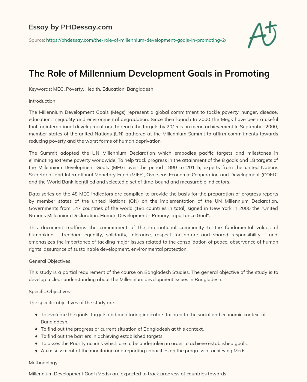 The Role of Millennium Development Goals in Promoting essay