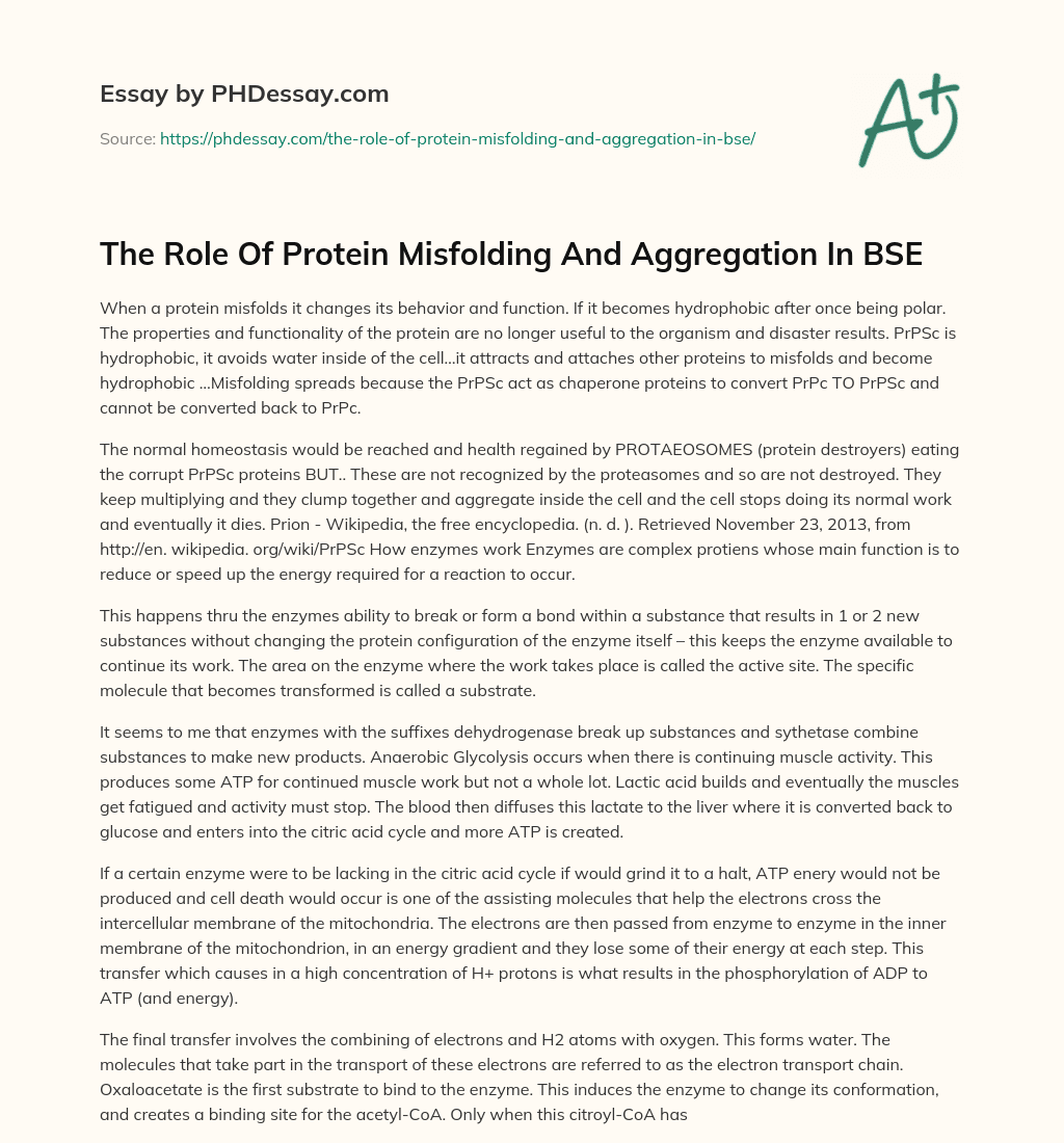 The Role Of Protein Misfolding And Aggregation In BSE (500 Words