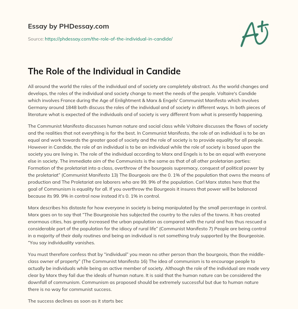 The Role of the Individual in Candide essay