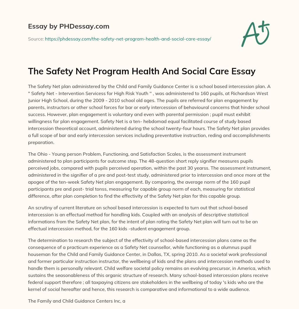 The Safety Net Program Health And Social Care Essay essay
