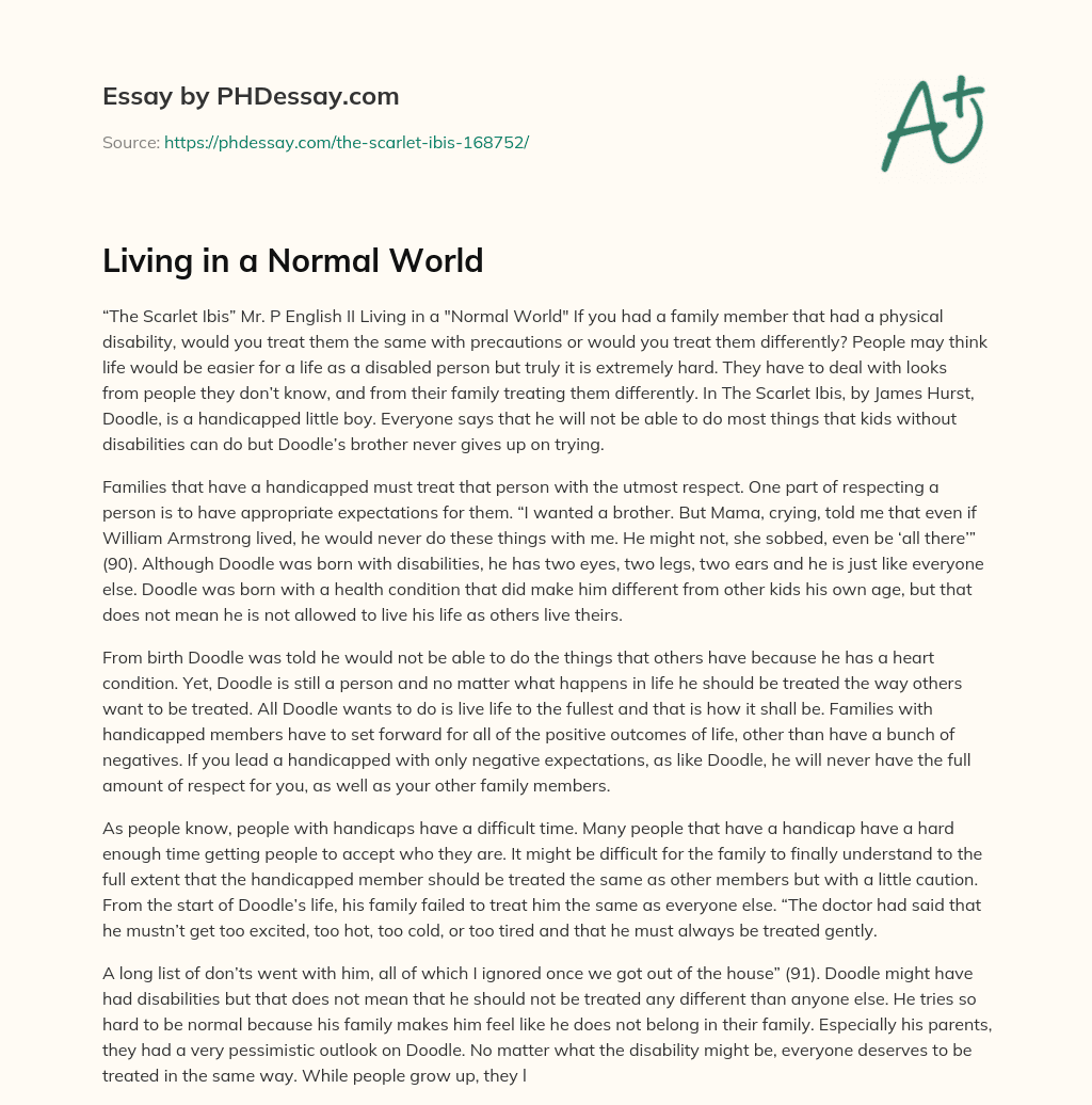 Living in a Normal World essay