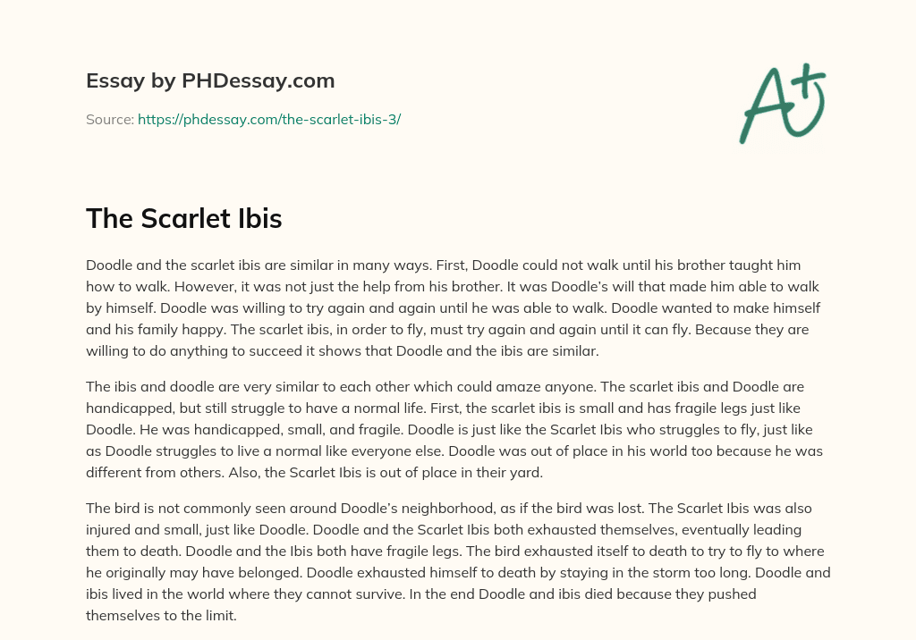 The Scarlet Ibis essay