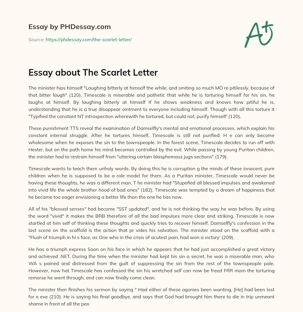 Essay about The Scarlet Letter essay