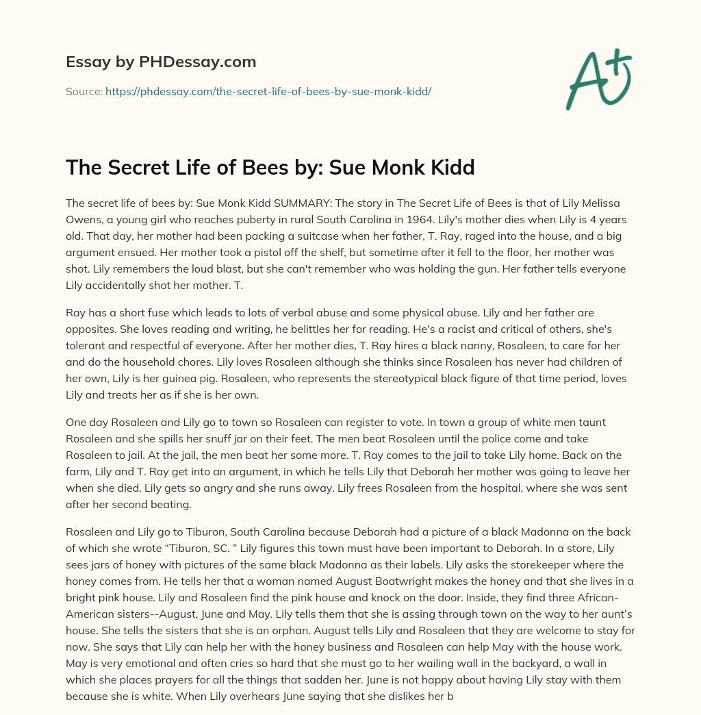 The Secret Life of Bees by: Sue Monk Kidd essay