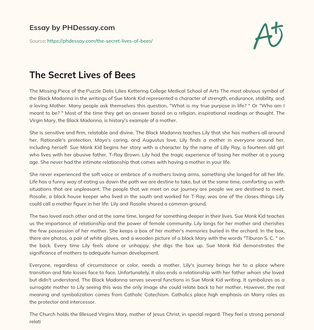 The Secret Lives of Bees essay
