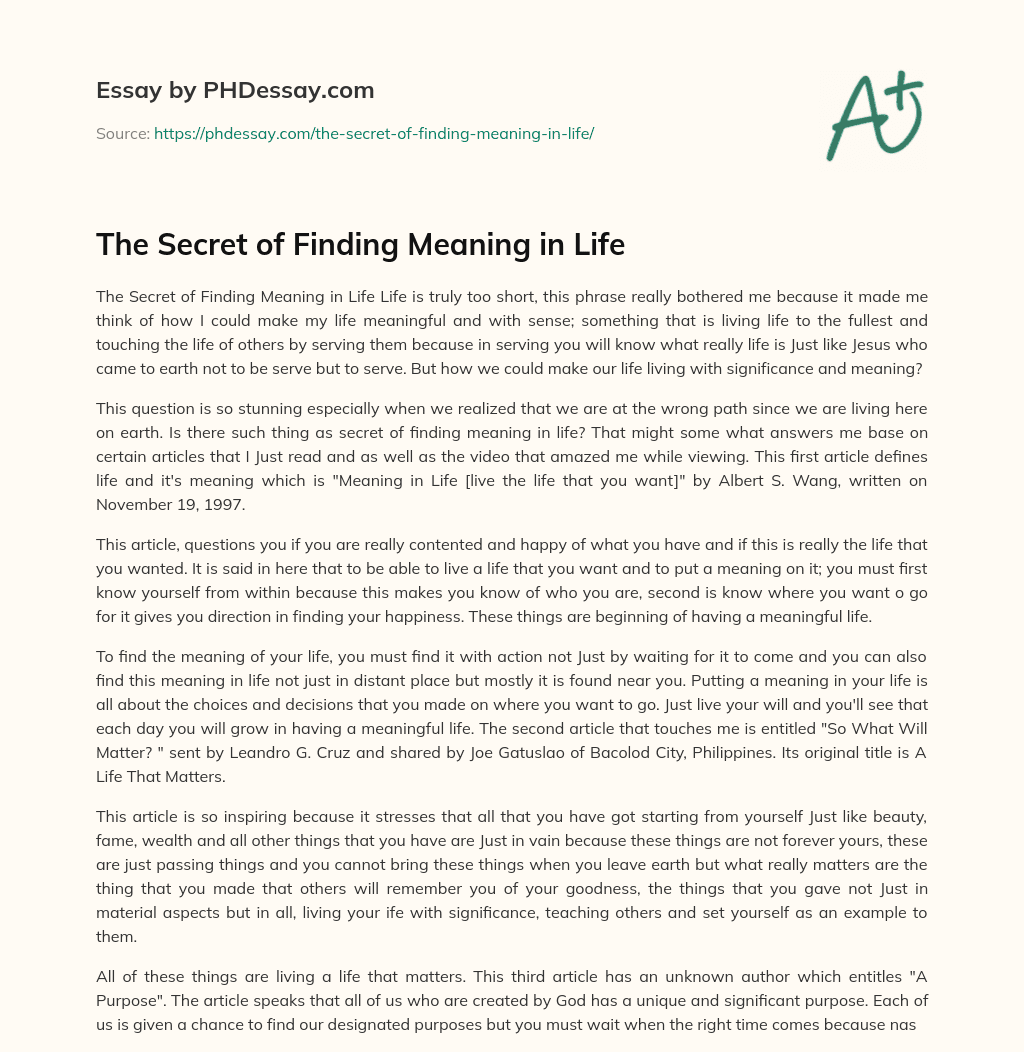 The Secret of Finding Meaning in Life essay