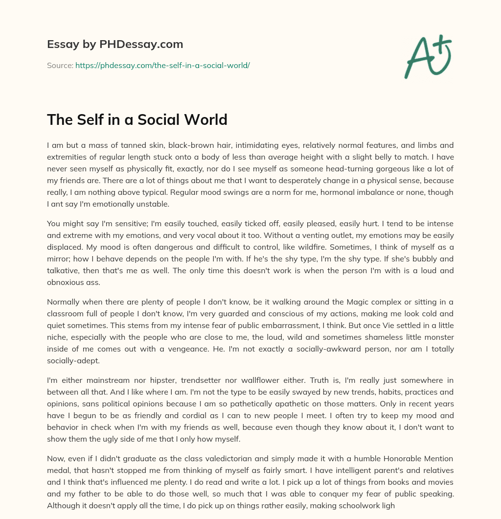 The Self in a Social World essay
