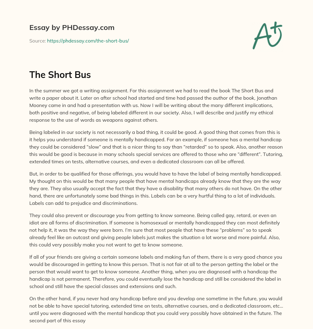 The Short Bus essay