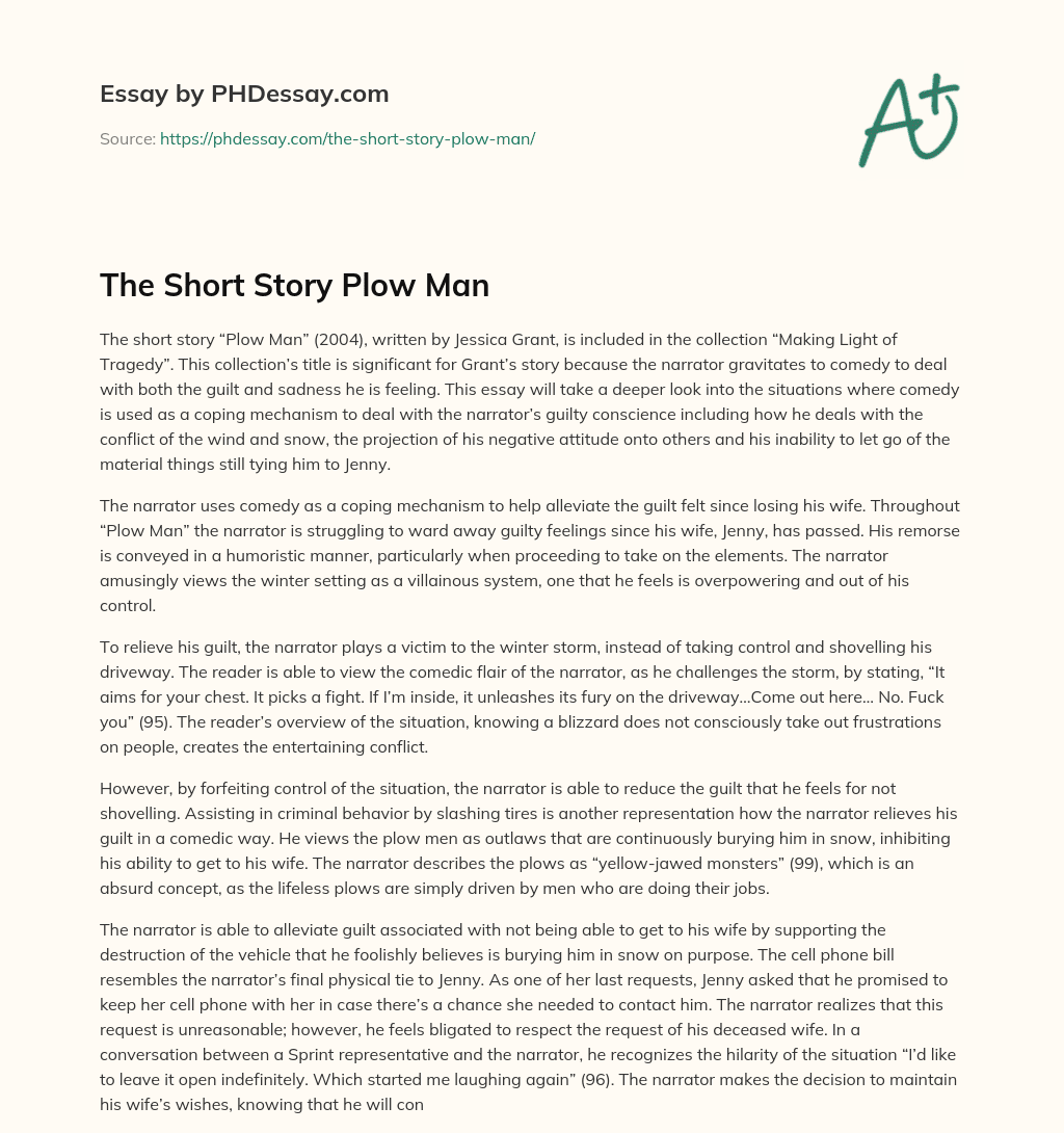 The Short Story Plow Man essay
