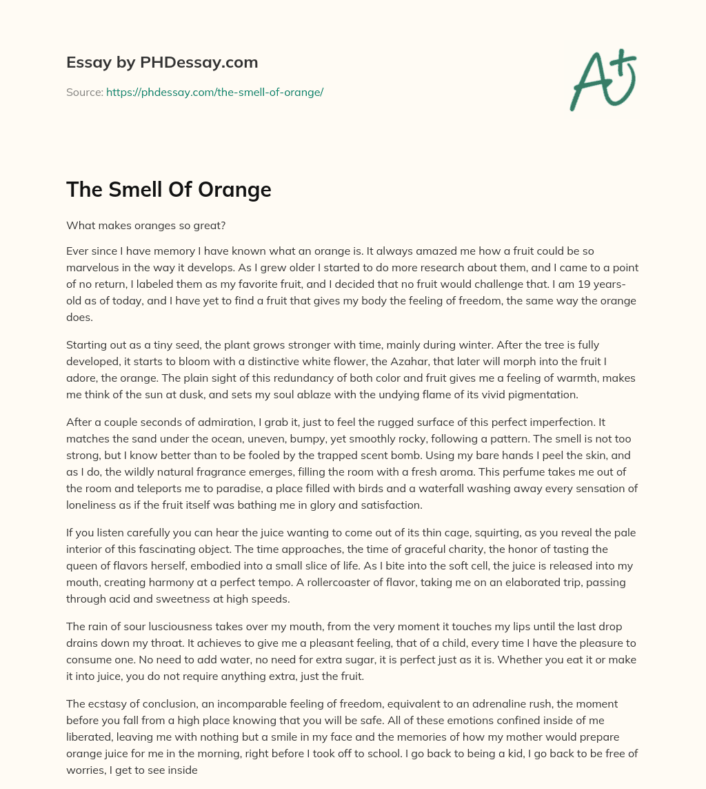 The Smell Of Orange essay