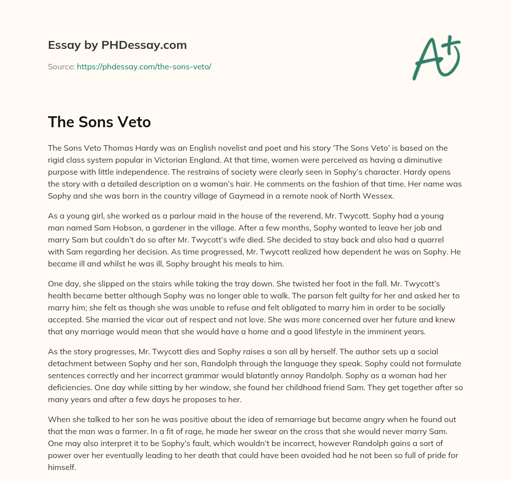 The Sons Veto essay