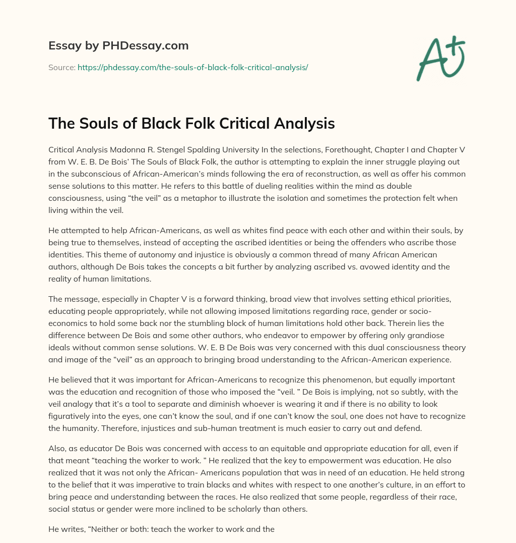 The Souls of Black Folk Critical Analysis essay