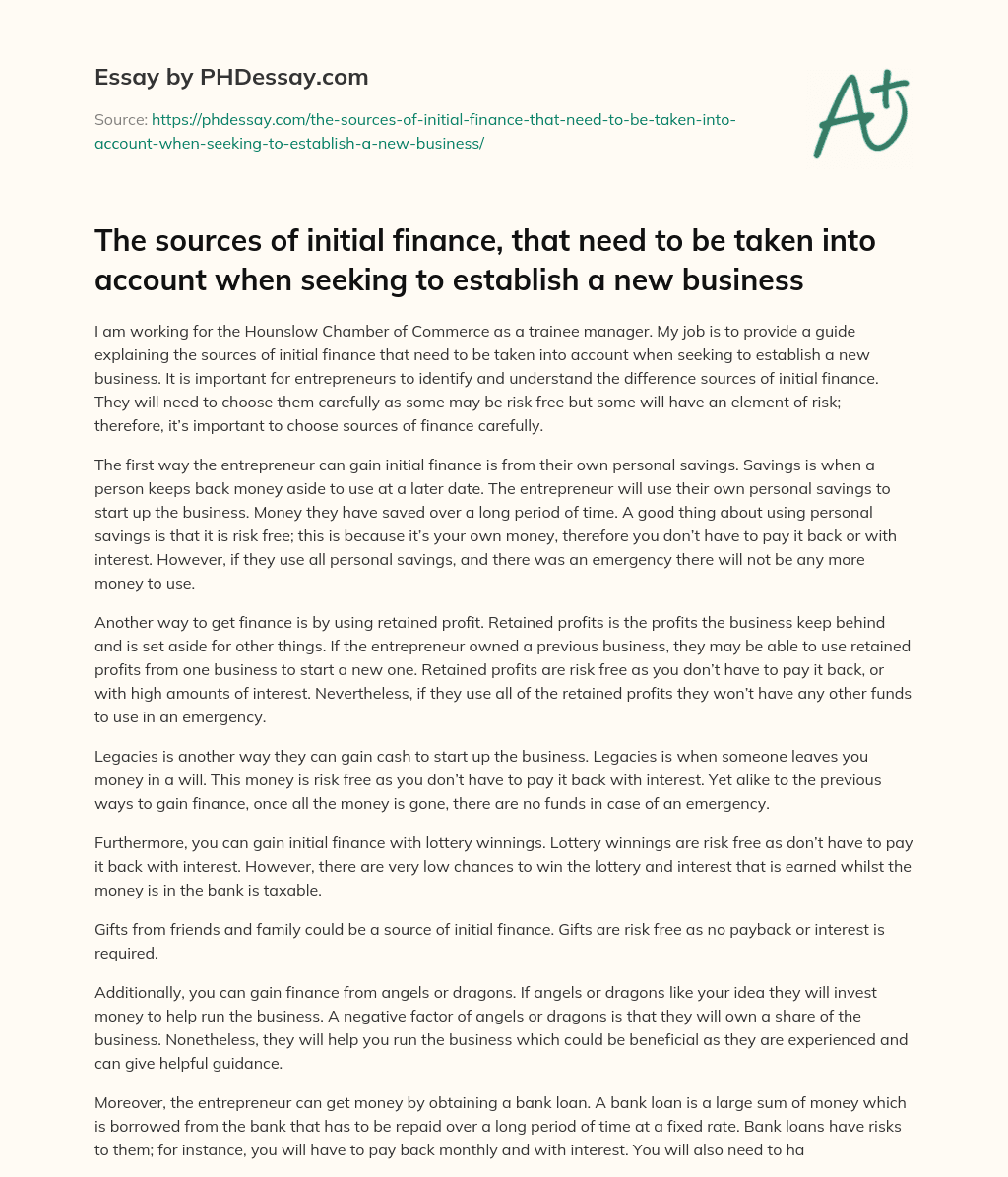 Guide to Initial Finance Sources for New Businesses essay