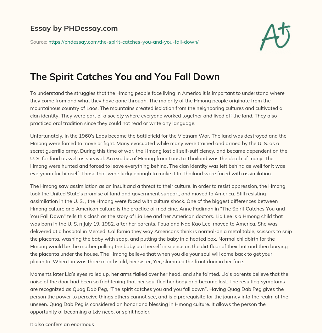 The Spirit Catches You and You Fall Down essay