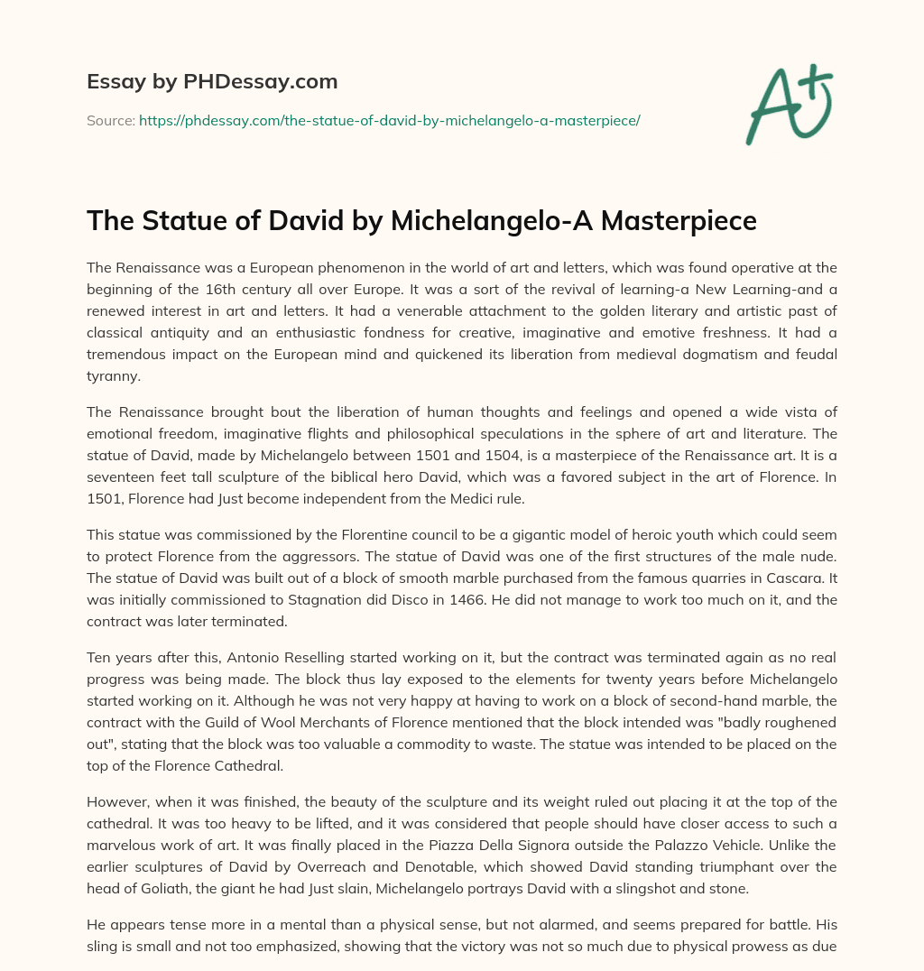 The Statue of David by Michelangelo-A Masterpiece essay